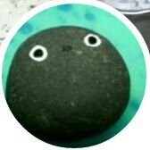 むっちゃんの苔庭