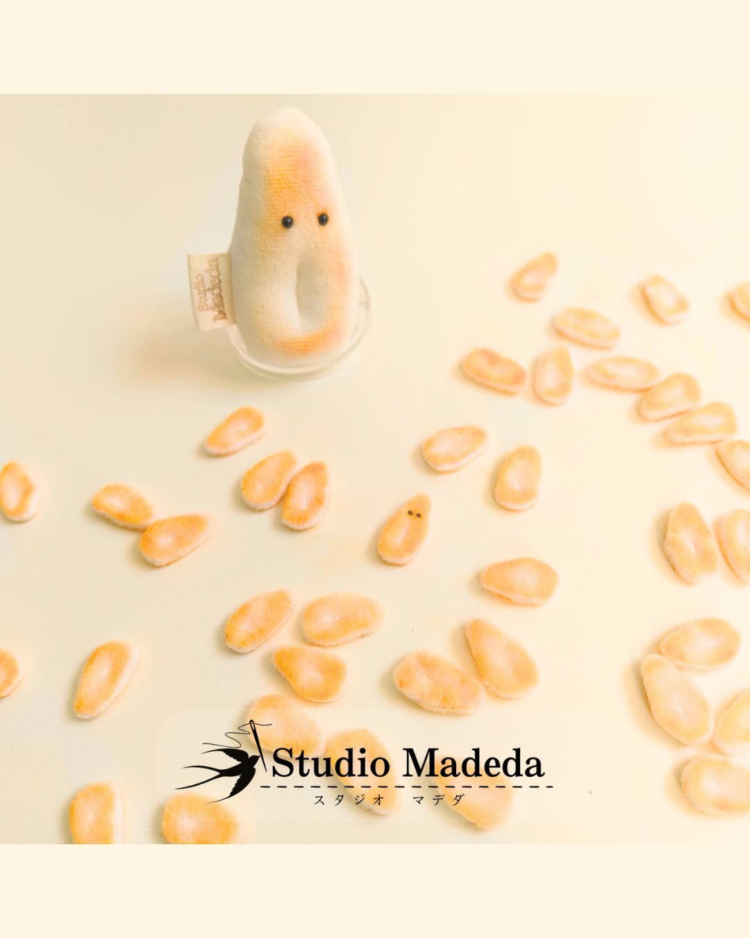 スタジオマデダ