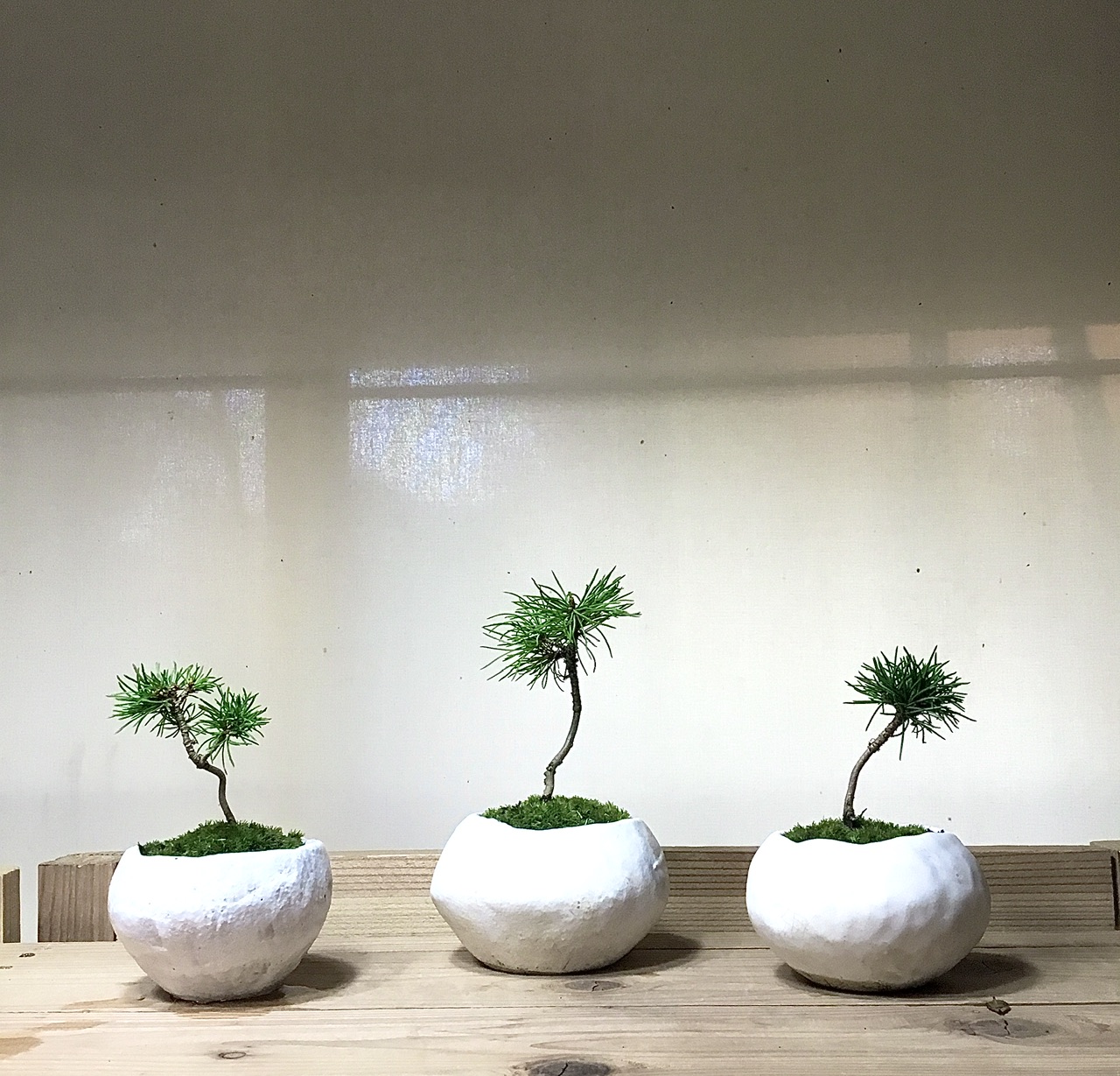 花しごと「たくぼう」