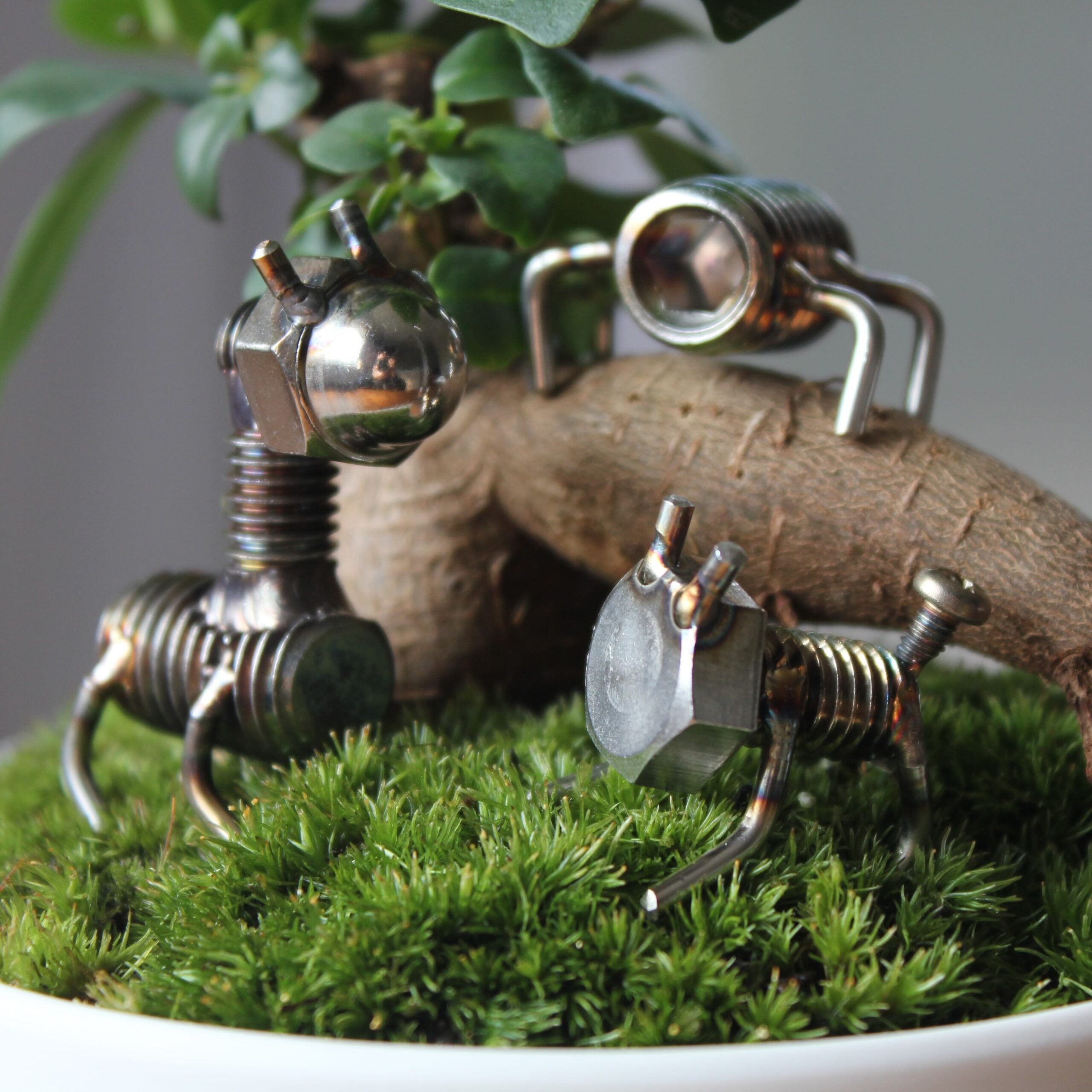 ねじのどうぶつ＃ネジマル