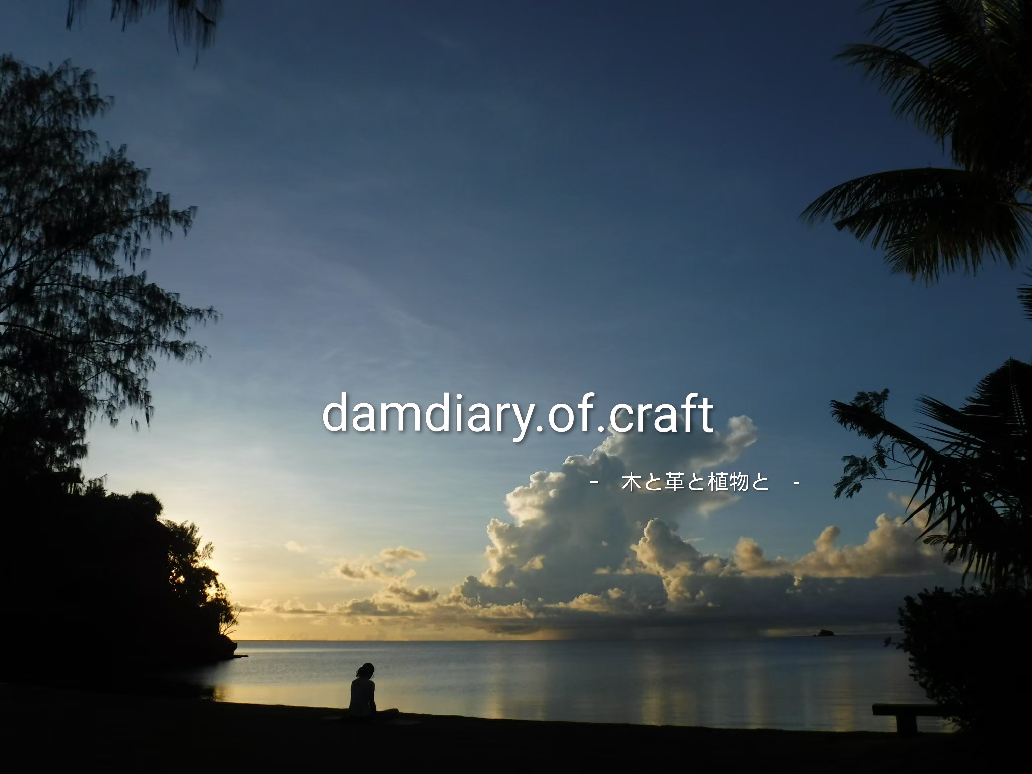 damdiary.of.craft