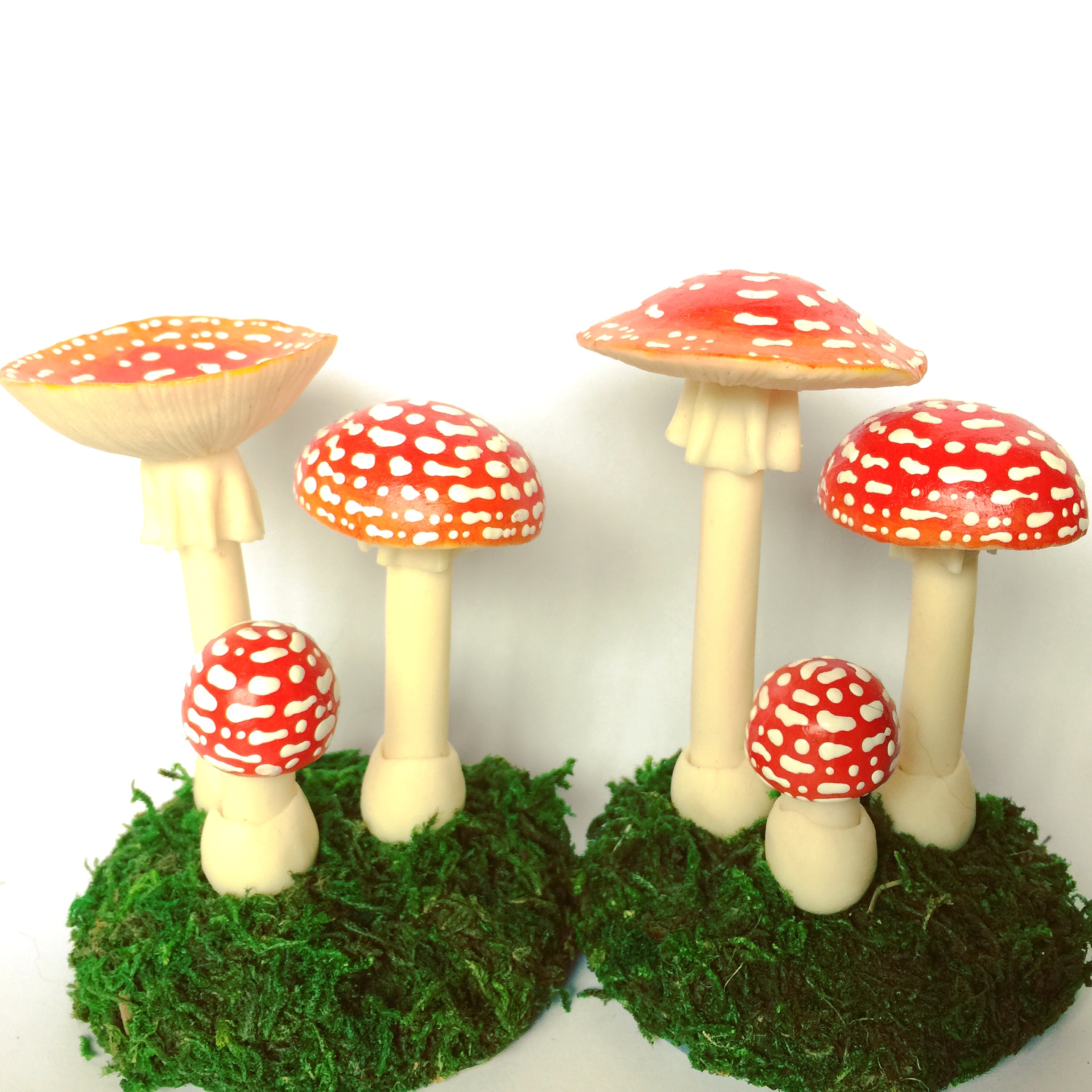 粘土のきのこaiai